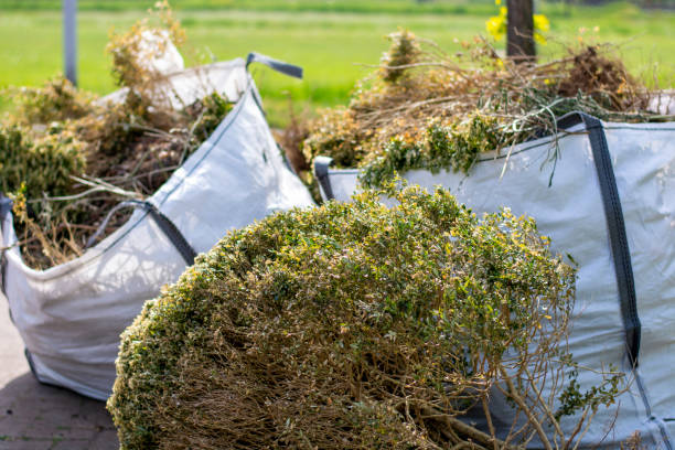 Best Appliance Removal Near Me  in Shady Hills, FL